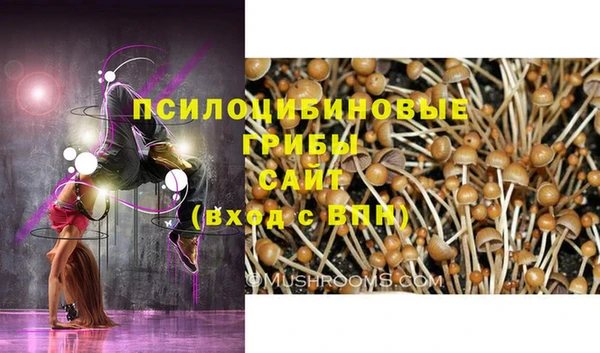 mix Алексеевка